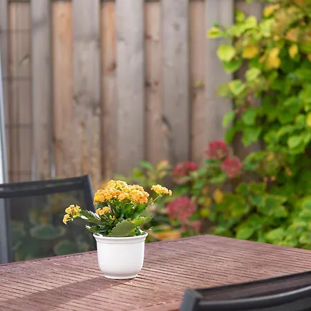 Westerfeld Hotell 3*